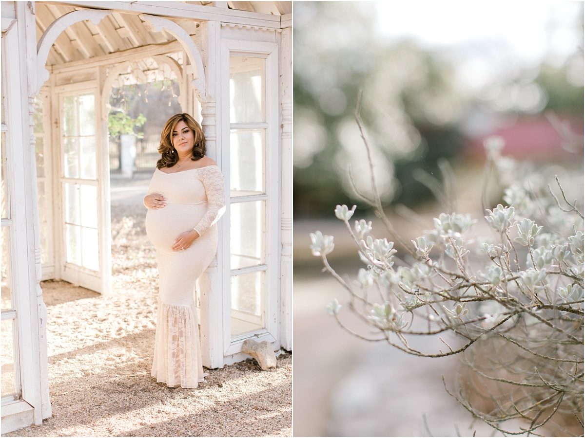 Salado Texas twin maternity session photography